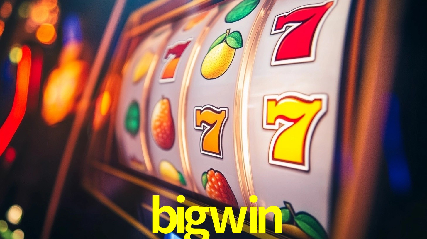 Programa VIP bigwin